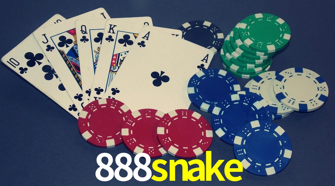 Bonus Features 888snake