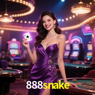 Interface Premium 888snake